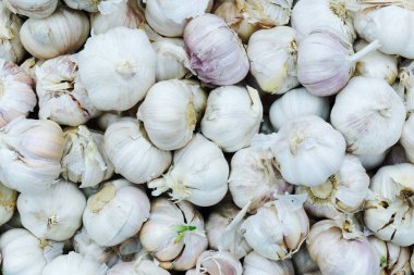 Bir sürü sarımsak soğanı. Yukarıdan görüntüle