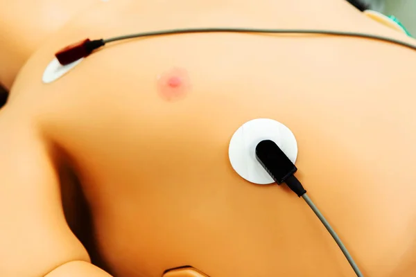 Medical sensors on a plastic manikin. Simulator for advanced training of young doctors. Close-up