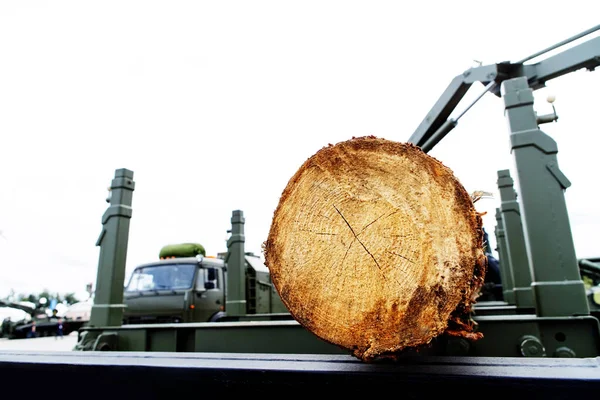 Ein Baumstamm Von Einem Gesägten Baum Auf Einem Lkw Industrielle — Stockfoto