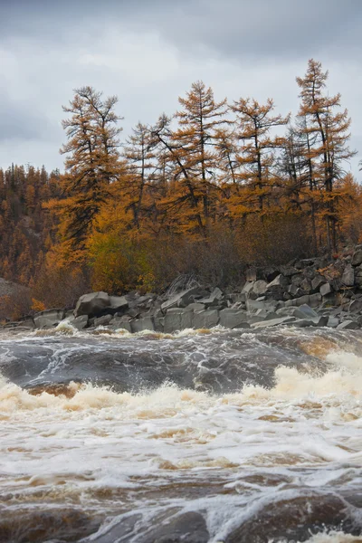 Rzeki Moiero i syberyjskiej tajgi jesienią — Zdjęcie stockowe