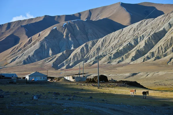 Ev ve ev dağlarda çoban — Stok fotoğraf