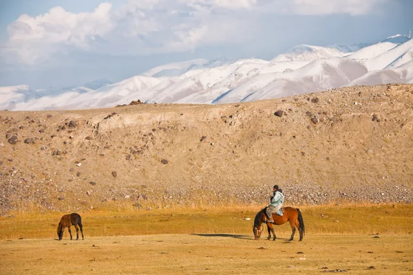 At üstünde çoban ve Tien Shan dağlarında tayı — Stok fotoğraf