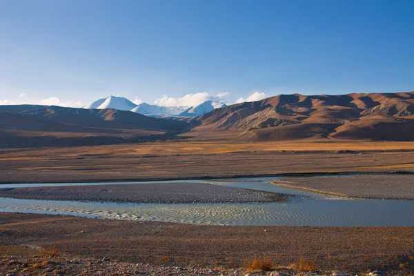 Równiny zalewowej rzeki i pastwiska w Tien Shan — Zdjęcie stockowe