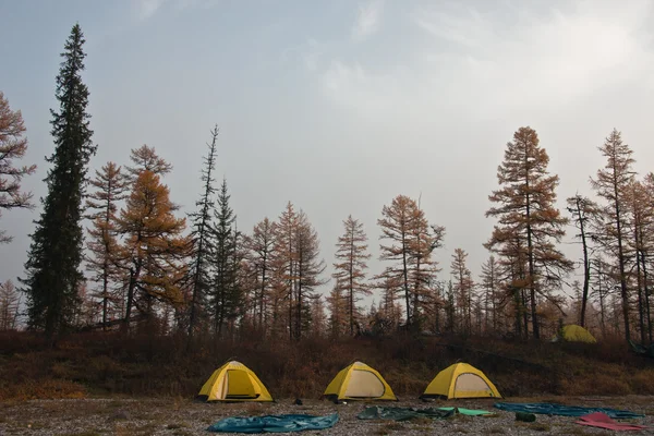 Żółty namiot nad brzegiem rzeki Tajga syberyjska — Zdjęcie stockowe