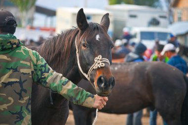 At kafası sırasında kapatın