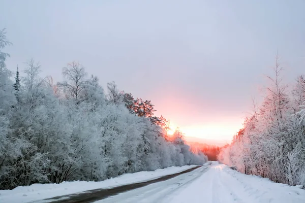 Χαμηλός Βραδινός Ήλιος Ένα Χειμερινό Χιονισμένο Δρόμο Στη Σιβηρία Παγωμένη — Φωτογραφία Αρχείου