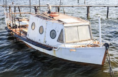 Büyük boynuzlu bir Afrika bufalosu bir akasya ağacının gölgesinde duruyor. Saldırgan Bufalo saldırmadan önce bir akasya ağacının gölgesinde saklanıyordu..