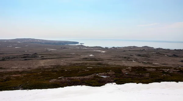 여름에는 해안의 툰드라 산맥과 백향목 수있다 마가단 지역의 해안에 툰드라 — 스톡 사진