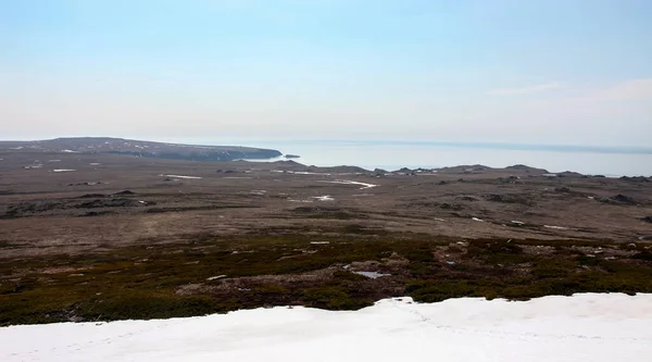 View Coastal Mountain Tundra Thickets Cedar Woodland Early Summer Landscape — Stock Photo, Image