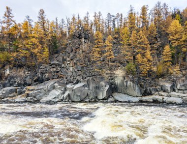Sonbaharda vahşi Sibirya Nehri 'nin kayalık kıyı manzarası. Dik kıyılarda tarla kuşu taygası olan Sibirya nehri..