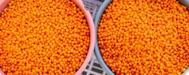 Kovalar içindeki yabani deniz dikenli turuncu olgun meyvelerin arka planı. Kehribar taze yabani deniz dikenli karabatağı Asya pazarındaki kovaların üzerinde..