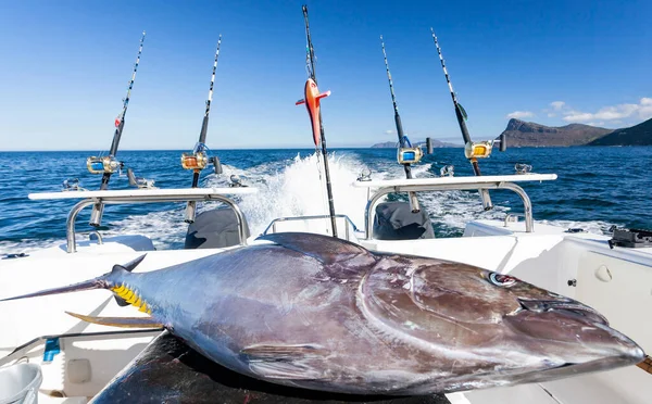 Yellowfin Tuna Fishing Lies Stern Boat Boat Fishing Rods Catch — Stock Photo, Image
