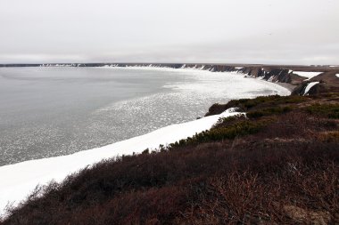 Ohotsk Denizi kıyısında. Bahar, yarımada taigonos