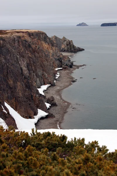 Ohotsk Denizi kıyısında. Bahar, Sibirya taigonos Yarımadası, magadan bölgesi,