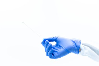 Mavi nitrile eldivenli doktorun elleri PCR testi yapıyor, örnek çubuk yukarı bakıyor, beyaz arkaplan