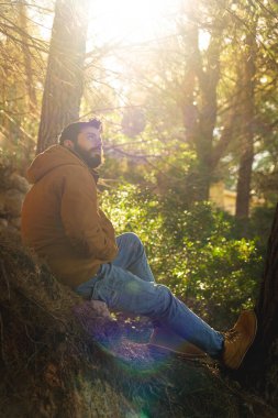 Genç adam oturuyor ve Akdeniz 'de bir manzara ormanındaki ağaçlara bakıyor. Arka planda güneş ve çok parlak bir ışık var.