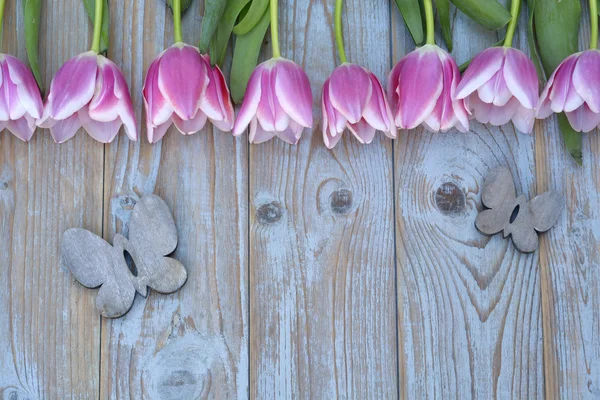 Old grey blue wooden background with pink white tulips border in a row  and empty copy space with wooden spring summer butterflies decoration — Stock Photo, Image