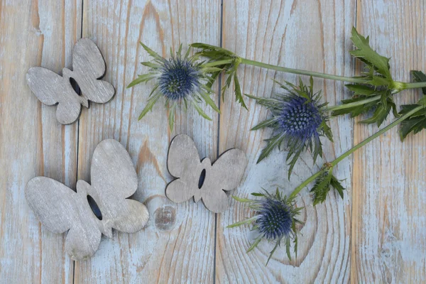 Azul roxo cardo mar azevinho flor planta em um fundo espaço de cópia vazio de madeira cinza. Com decoração borboleta de madeira na primavera estilo vintage verão . — Fotografia de Stock