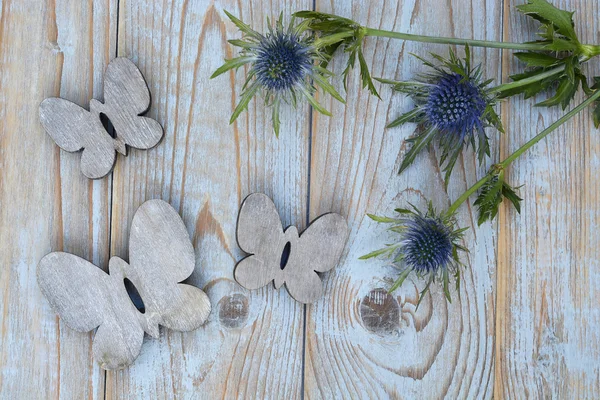 Azul roxo cardo mar azevinho flor planta em um fundo espaço de cópia vazio de madeira cinza. Com decoração borboleta de madeira na primavera estilo vintage verão . — Fotografia de Stock