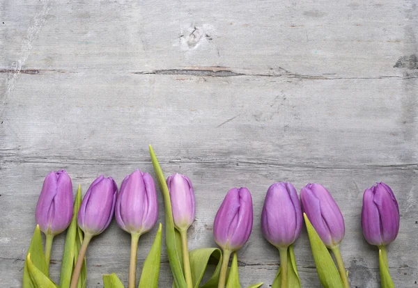 Old grey wooden background with purple white tulips,snowdrop and crocus and empty copy space, spring summer decoration — Stock Photo, Image