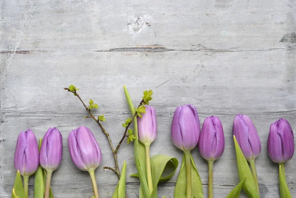 Old grey wooden background with purple white tulips,snowdrop and crocus and empty copy space, spring summer decoration — Stock Photo, Image