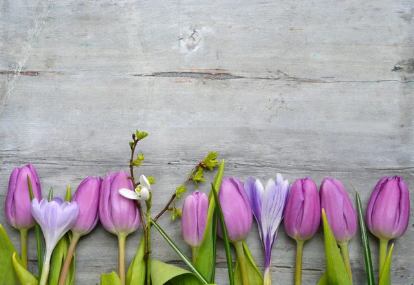 Old grey wooden background with purple white tulips,snowdrop and crocus and empty copy space, spring summer decoration — Stock Photo, Image