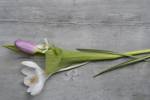 Old grey wooden background with purple white tulips,snowdrop and crocus and empty copy space, spring summer decoration — Stock Photo, Image