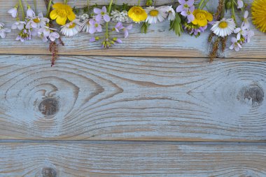 Papatya, düğünçiçekleri, karahindiba, ıslık ot, boş kopya alanı bir eski gri doku ahşap zemin üzerine alan çiçek