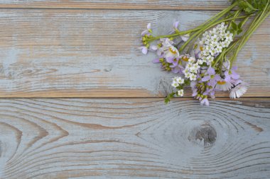 Papatya, düğünçiçekleri, karahindiba, ıslık ot, boş kopya alanı bir eski gri doku ahşap zemin üzerine alan çiçek