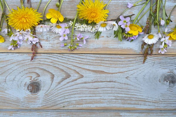 Margaritas, buñuelos, dientes de león, hierbas silbantes, flores de campo sobre un fondo de madera textura gris viejo con espacio de copia vacío — Foto de Stock