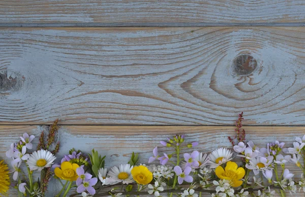 Margaridas, copos de manteiga, dentes de leão, erva assobiando, flores de campo em uma textura cinza velho fundo de madeira com espaço de cópia vazio — Fotografia de Stock