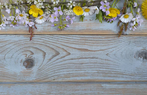 Margaridas, copos de manteiga, dentes de leão, erva assobiando, flores de campo em uma textura cinza velho fundo de madeira com espaço de cópia vazio — Fotografia de Stock