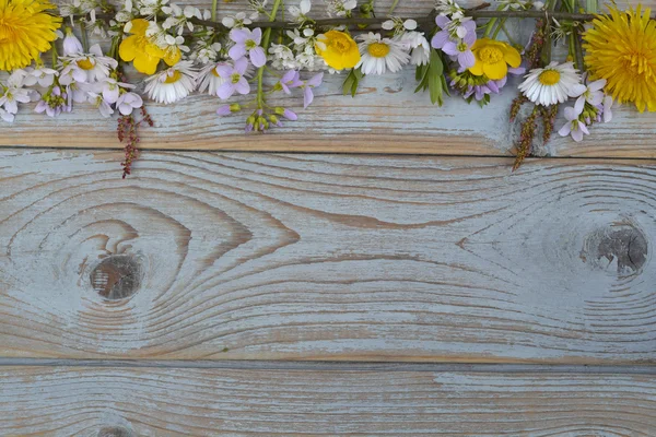 Margaridas, copos de manteiga, dentes de leão, erva assobiando, flores de campo em uma textura cinza velho fundo de madeira com espaço de cópia vazio — Fotografia de Stock