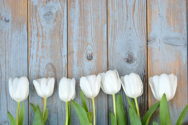 Csomó fehér tulipán a egy régi használt kék szürke fa polcok háttér üres hely elrendezés — Stock Fotó