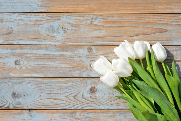 Bunch of White tulips on a old used blue grey wooden shelves background with empty space layout — Stock Photo, Image