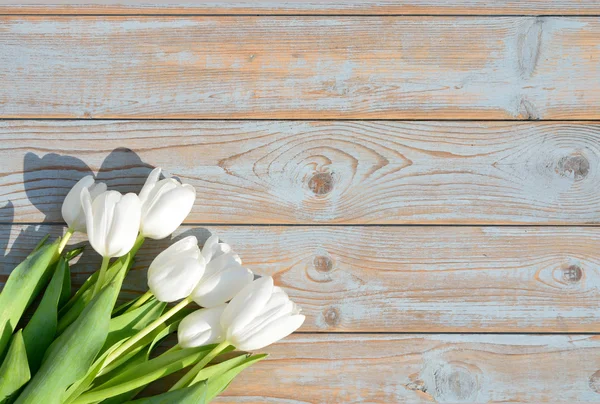 Ramo de tulipanes blancos sobre un viejo fondo de estantes de madera gris azul usado con diseño de espacio vacío — Foto de Stock