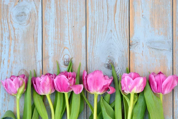 Background of Pink  purple tulips with empty space of old blue grey used shelves wood for your own text or photo — Stock Photo, Image