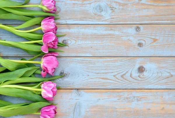 Fondo de tulipanes rosa púrpura con espacio vacío de viejo azul gris utiliza estantes de madera para su propio texto o foto — Foto de Stock