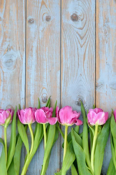 Background of Pink  purple tulips with empty space of old blue grey used shelves wood for your own text or photo — Stock Photo, Image