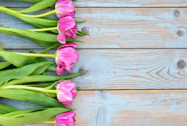 Background of Pink  purple tulips with empty space of old blue grey used shelves wood for your own text or photo — Stock Photo, Image