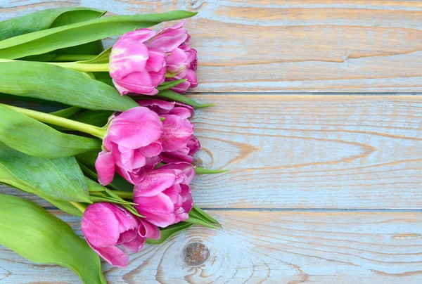 Background of Pink  purple tulips with empty space of old blue grey used shelves wood for your own text or photo — Stock Photo, Image