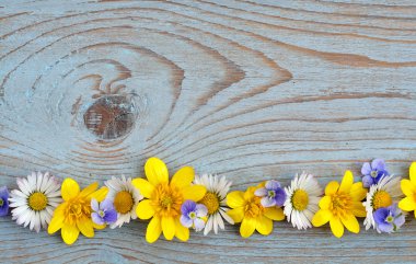 Bahar fieldflowers düğünçiçekleri ve mavi gri ols üzerinde papatya gibi sınır satır düğümlü ahşap boş alanı düzeni ile temel moodboard için kullanılan