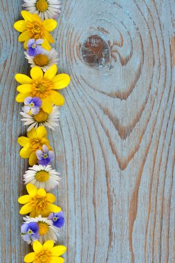 Bahar fieldflowers düğünçiçekleri ve mavi gri ols üzerinde papatya gibi sınır satır düğümlü ahşap boş alanı düzeni ile temel moodboard için kullanılan