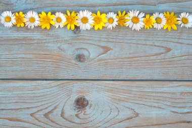 Bahar fieldflowers düğünçiçekleri ve mavi gri ols üzerinde papatya gibi sınır satır düğümlü ahşap boş alanı düzeni ile temel moodboard için kullanılan