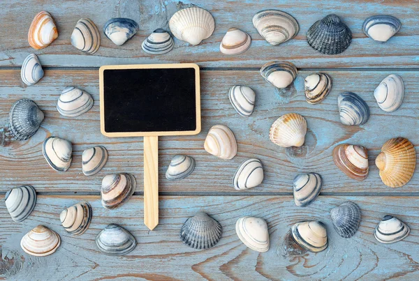 Empty black chalk board on a old knotted used wooden background with sea beach shells for a beach style mood board layout — Stock Photo, Image