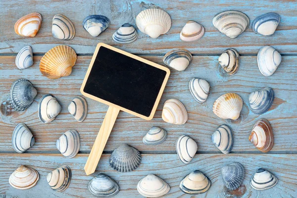 Empty black chalk board on a old knotted used wooden background with sea beach shells for a beach style mood board layout