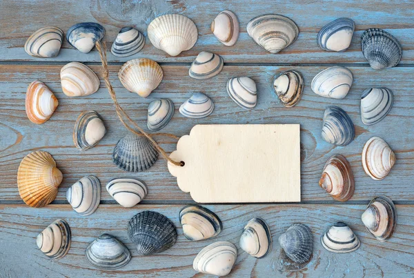 Beach and sea shells on a old grey blue knotted wooden background with a emty white wash wooden label for a beach , vacation mood board layout — Stock Photo, Image