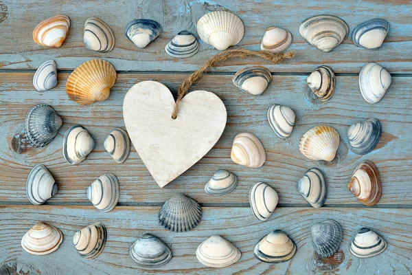 Beach and sea shells on a old grey blue knotted wooden background with a emty white wash wooden label for a beach , vacation mood board layout — Stock Photo, Image