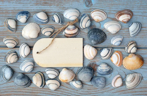 Beach and sea shells on a old grey blue knotted wooden background with a emty white wash wooden label for a beach , vacation mood board layout — Stock Photo, Image