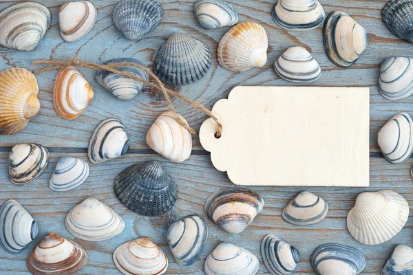 Beach and sea shells on a old grey blue knotted wooden background with a emty white wash wooden label for a beach , vacation mood board layout — Stock Photo, Image